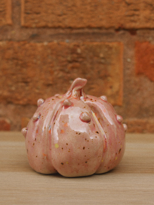Knobbly Pink Pumpkin