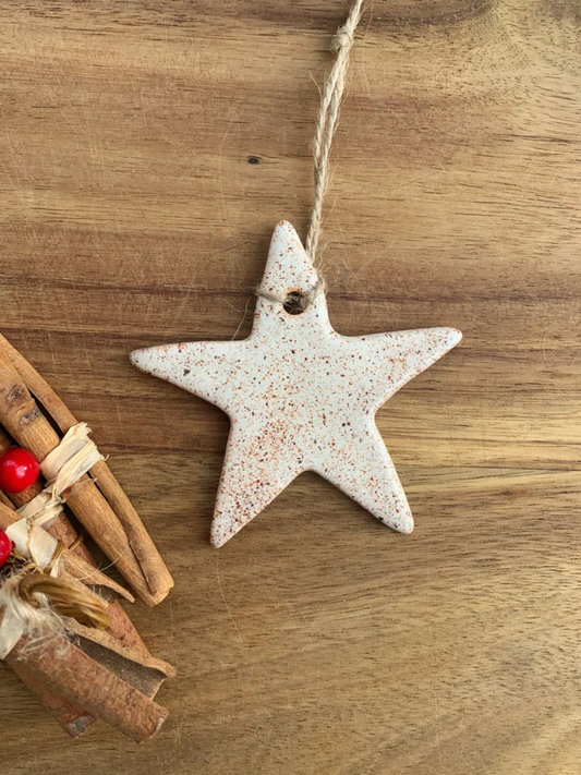 STAR HANGING DECORATION (4 COLOURS)