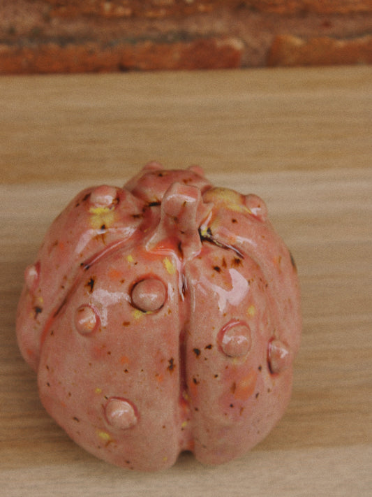 Knobbly Pink Pumpkin