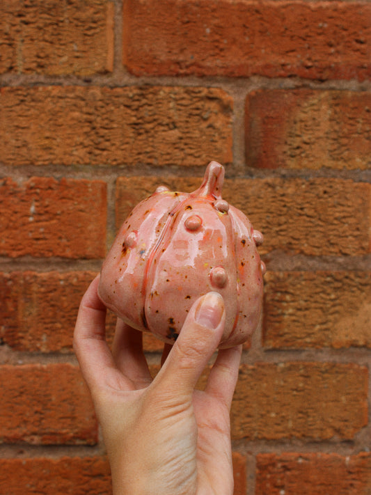 Knobbly Pink Pumpkin