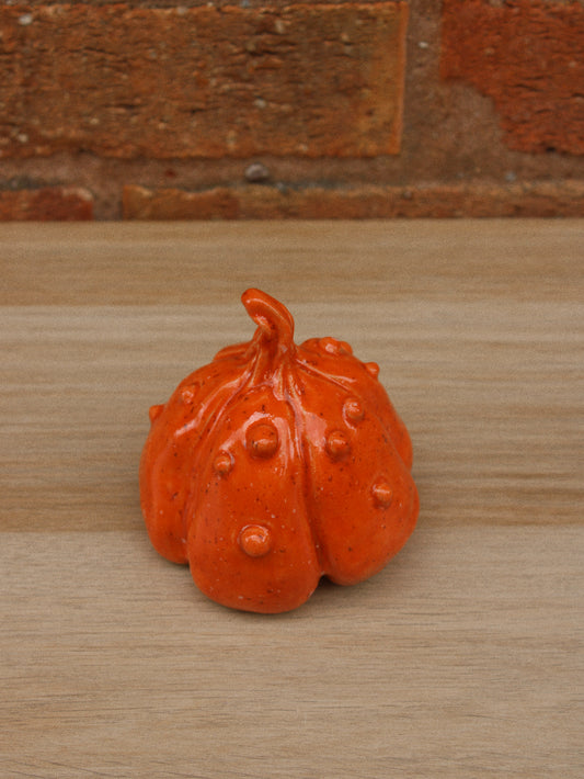 Knobbly Orange Pumpkin