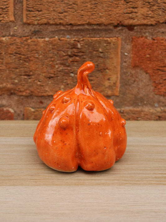 Knobbly Orange Pumpkin