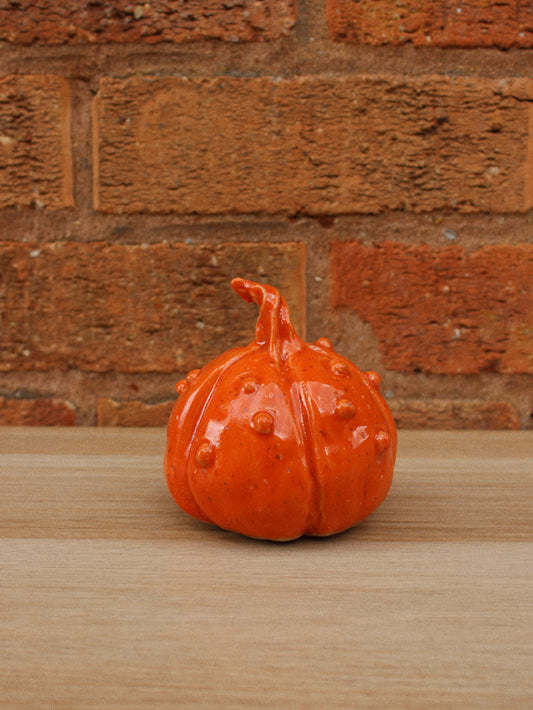 Knobbly Orange Pumpkin