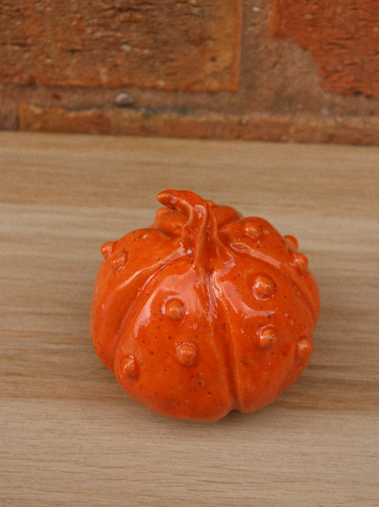 Knobbly Orange Pumpkin