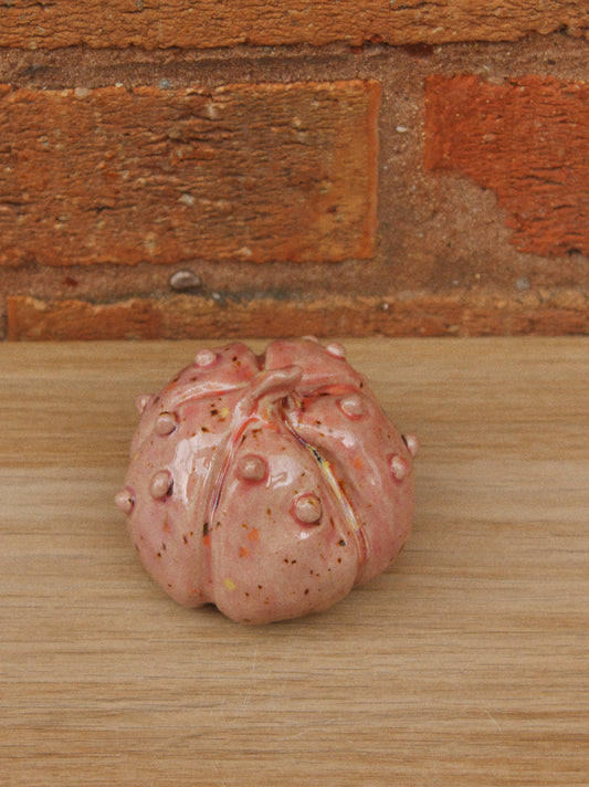 Knobbly Pink Pumpkin