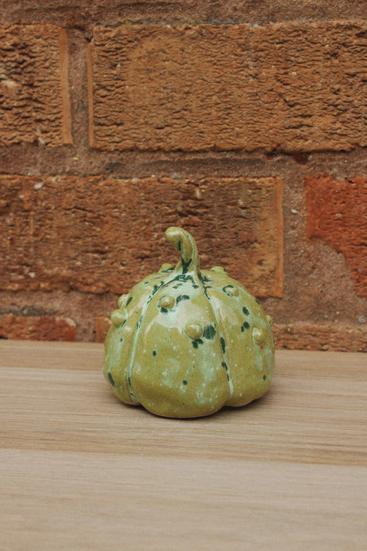Knobbly Green Pumpkin