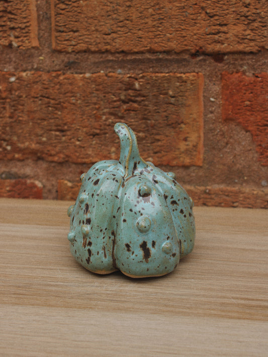 Knobbly Quail Pumpkin