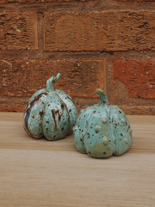 Knobbly Quail Pumpkin