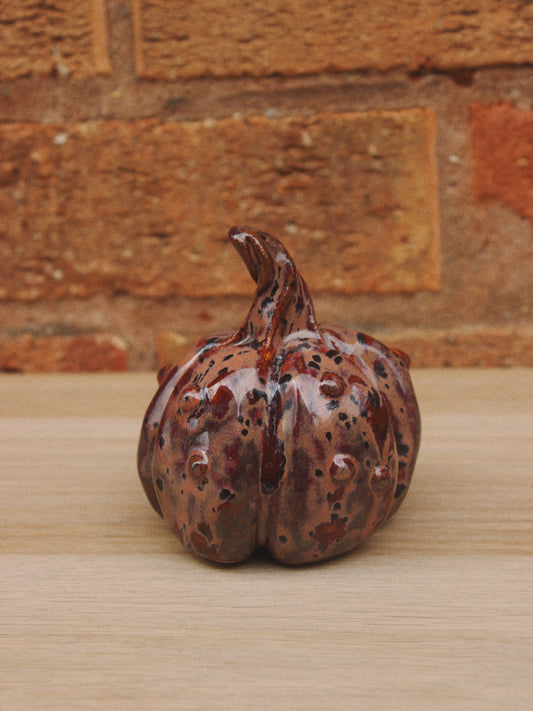 Knobbly Plum Pumpkin