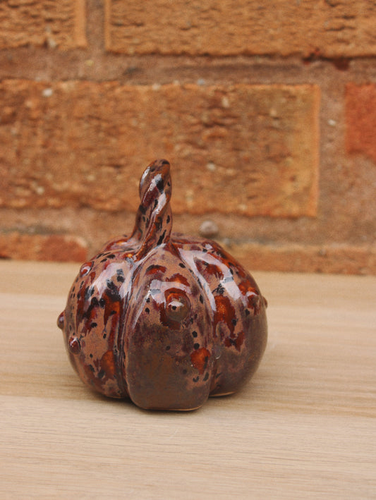 Knobbly Plum Pumpkin