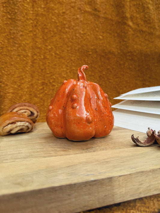 KNOBBLY ORANGE PUMPKIN