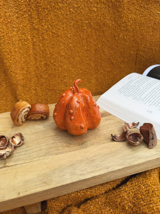 KNOBBLY ORANGE PUMPKIN