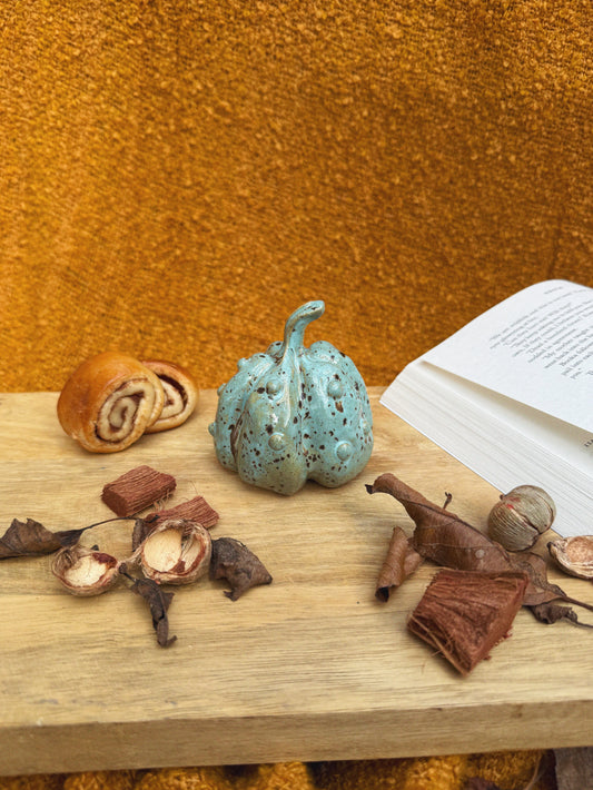 KNOBBLY QUAIL PUMPKIN